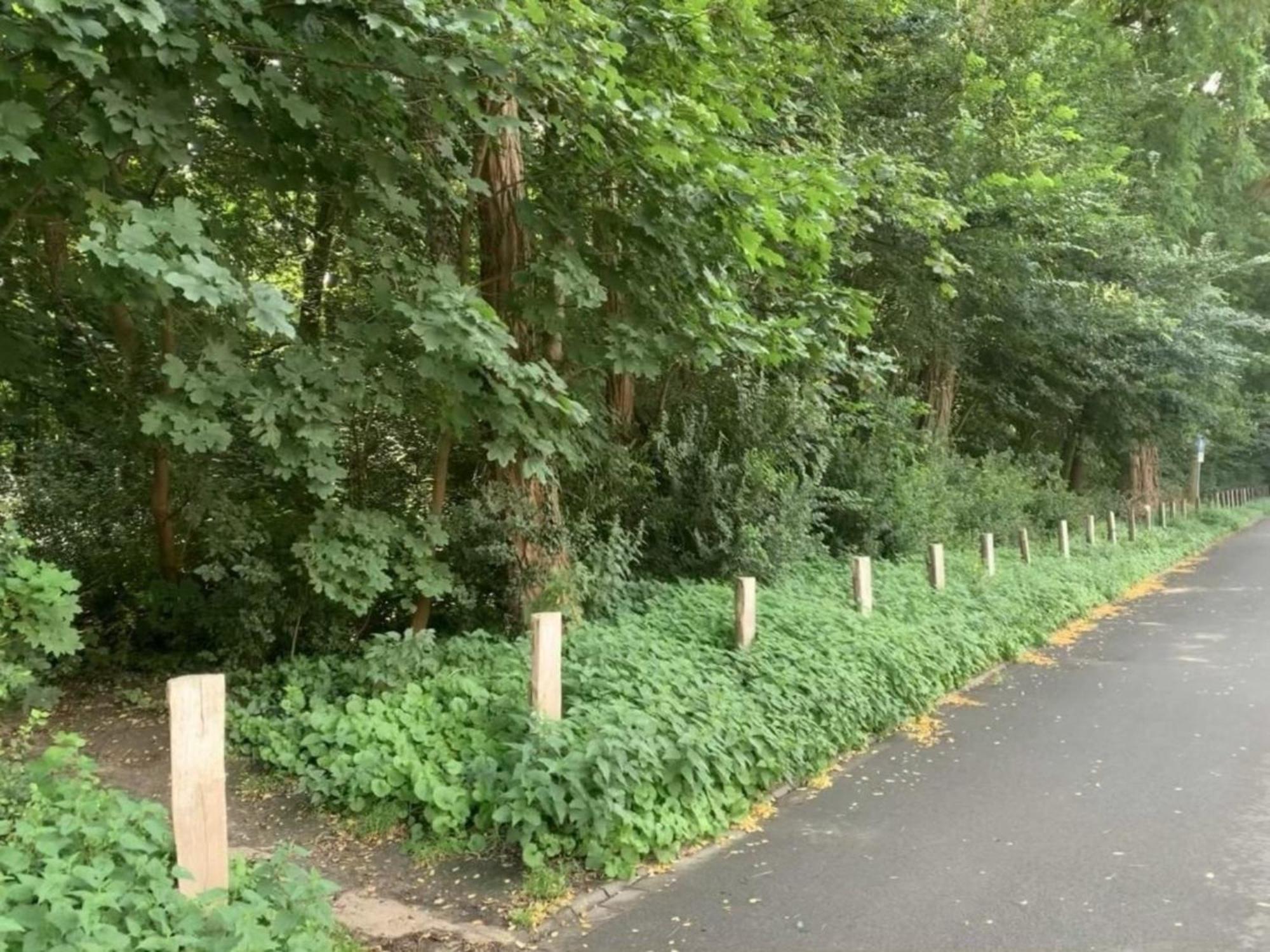 Am Nordglacis Wesel  Buitenkant foto